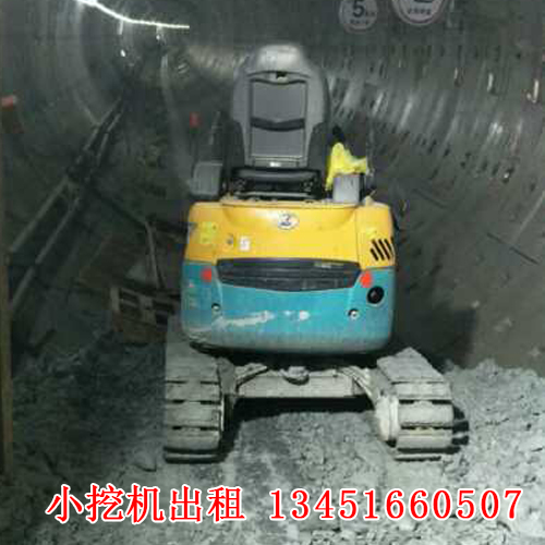 微型小挖機(jī)租賃的應(yīng)用廣泛，今天帶大家來了解一下！(圖1)